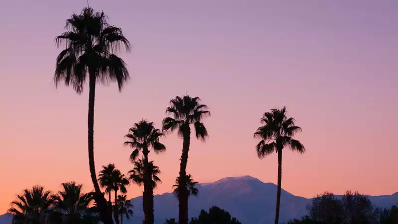 Palm Springs Instagram Guide