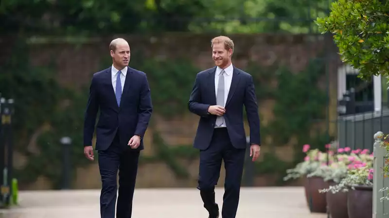 Experts Analyze Harry and William's Body Language at the Unveiling of Princess Diana's Statue