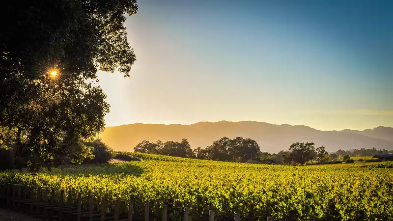 Napa Valley Installation Guide