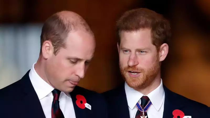 Prince William reportedly told Prince Harry about Meghan Markle's "intentions"