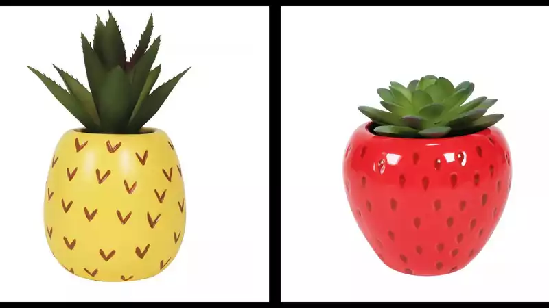 Target's new pineapple and strawberry succulents will add the cutest touch to your space.