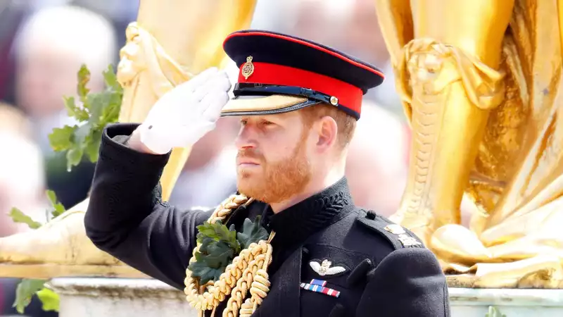 Prince Harry "devastated" to give up military title