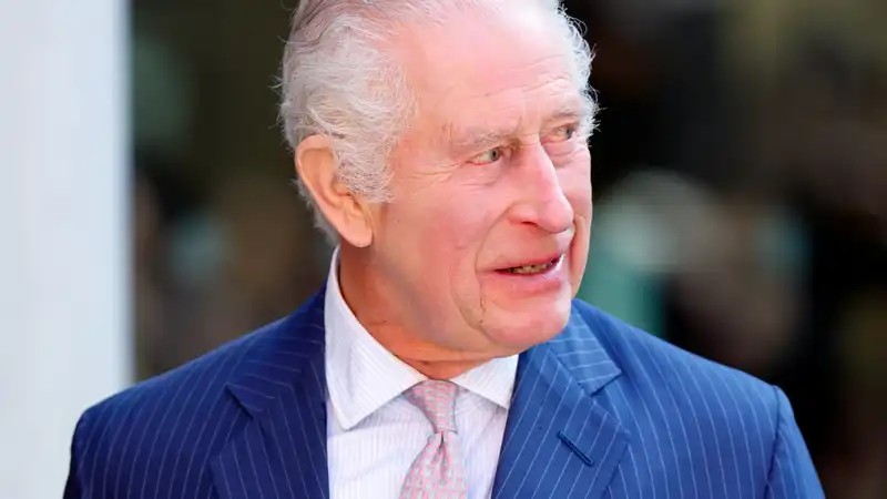 If Prince Charles had wanted to meet Prince Harry while he was in England this week, he would have done so "very easily," a royal historian said.