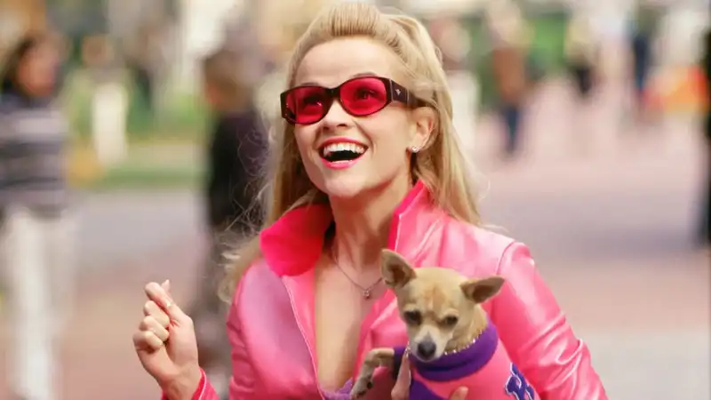 "Legally Blonde" Prequel Series: Everything We Know