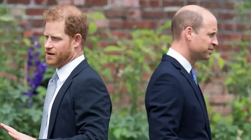 Royal experts claim that this upcoming "upper-class" wedding is the perfect time for Prince William and Prince Harry to "make amends