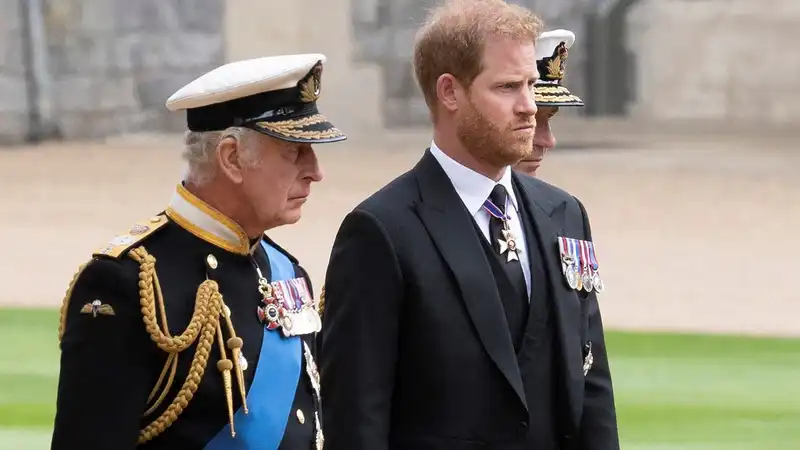 Prince Charles asked Prince Harry to "stop complaining publicly about the royal family," a royal writer says candidly.