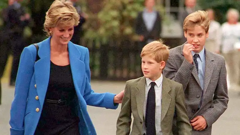 If Princess Diana had lived, the butler said, she must have "solved" the feud between Prince William and Prince Harry.