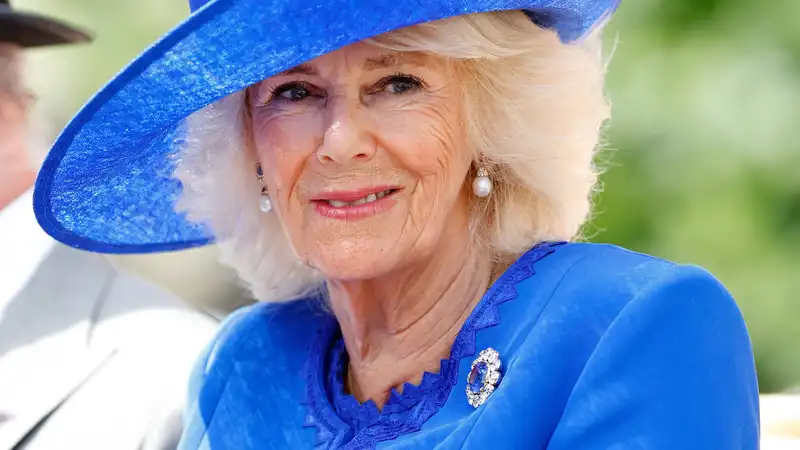 Queen Camilla's dresser, initially "ruffled feathers" by not giving the other female royals the opportunity to wear Camilla's favorite blue.