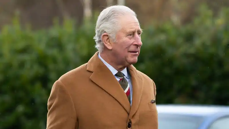 It is not Prince Charles' intention to launch a retail product to compete with his daughter-in-law Meghan Markle and her lifestyle brand, American Riviera Orchards, says a royal commentator.