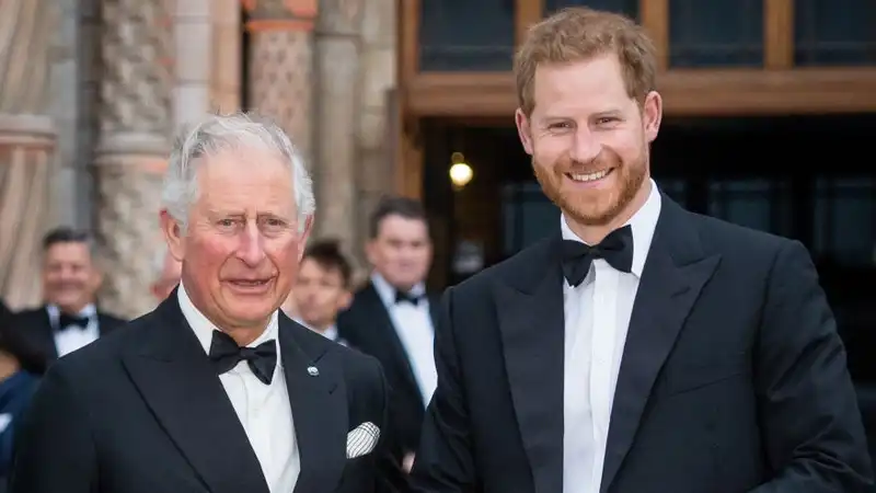 Prince Harry will “assist” the monarchy if requested by King Charles, sources claim.