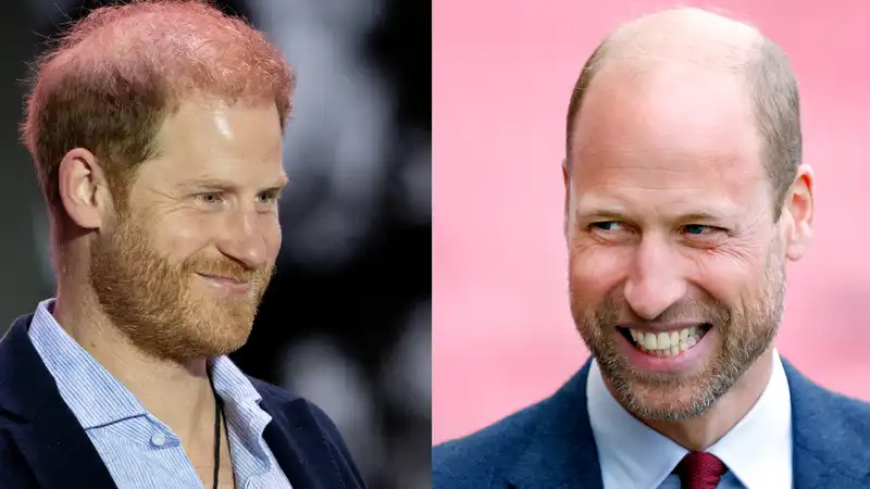 Prince Harry mistaken for Prince William by '90s star at celebrity-filled fundraiser