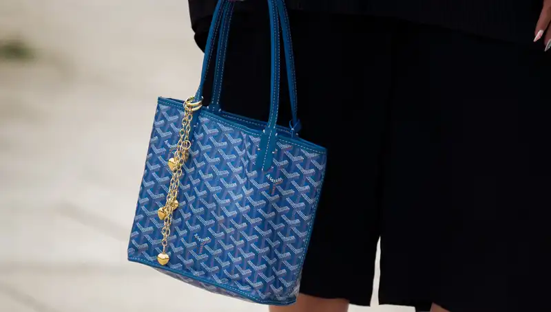 Decades-old Goyard bags are the luxury standard in street style in 2024