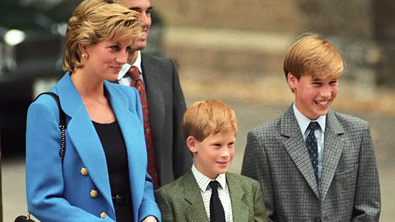 Prince William Shares Rare Comments About Princess Diana and Prince Harry in New Documentary