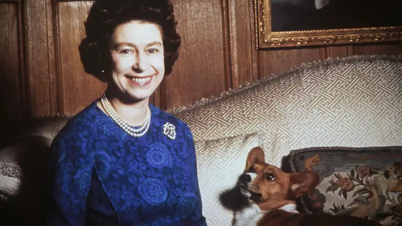 There is only one sure way for Queen Elizabeth to “shut up” her corgis.